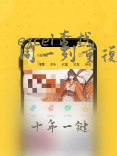 excel查找同一列重复次数