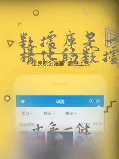 数据库是一个结构化的数据集合