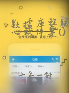 数据库系统的核心软件是()