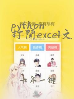 python 打开excel文件