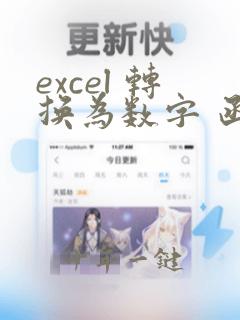 excel 转换为数字 函数