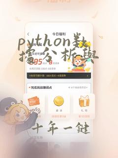 python数据分析与