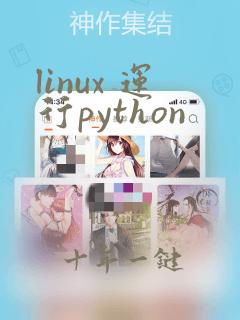 linux 运行python