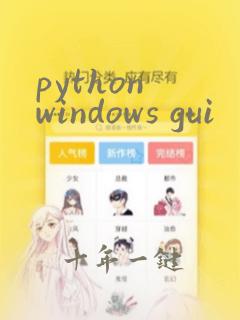 python windows gui