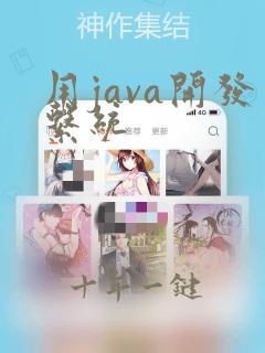 用java开发系统