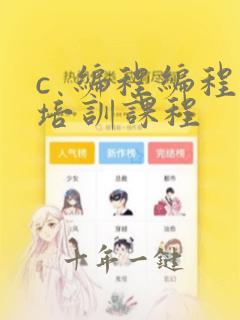 c  编程编程培训课程
