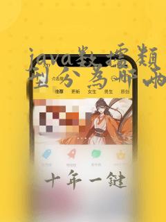 java数据类型分为哪两大类