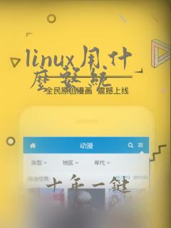 linux用什么系统