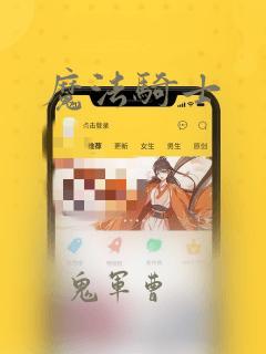 魔法骑士
