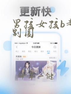 男孩女孩b超区别图