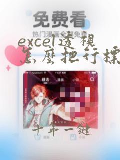 excel透视怎么把行标签显示在一栏