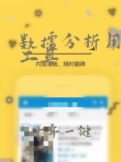 数据分析用什么工具