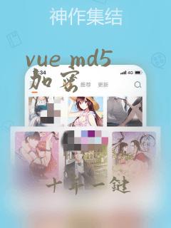 vue md5加密