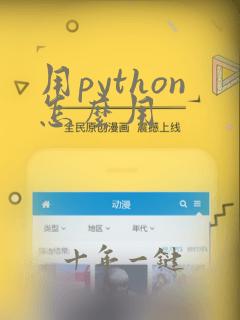用python怎么用