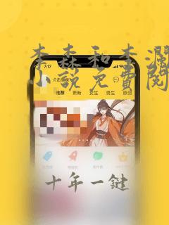李森和李澜官场小说免费阅读无弹窗