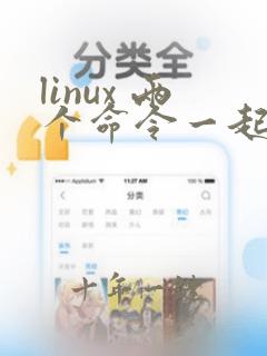 linux 两个命令一起执行