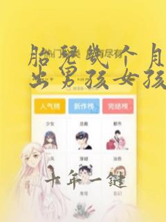 胎儿几个月能看出男孩女孩