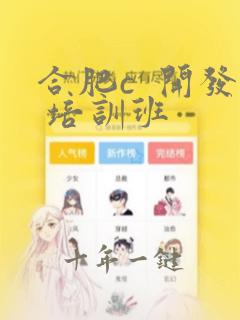 合肥c  开发 培训班