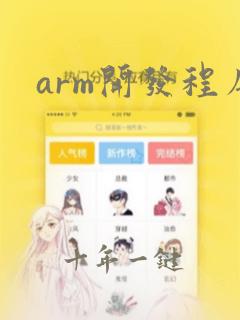 arm开发程序