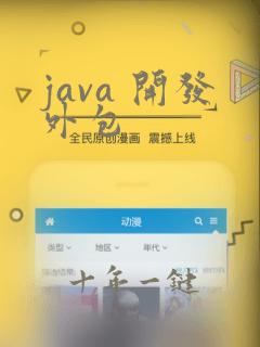 java 开发外包