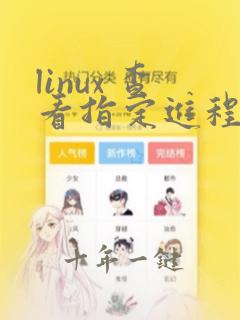 linux 查看指定进程