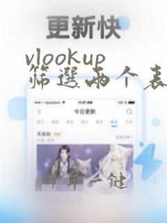 vlookup筛选两个表格重复数据