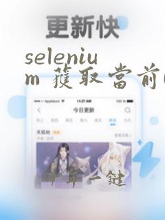 selenium 获取当前url