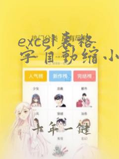 excel表格字自动缩小