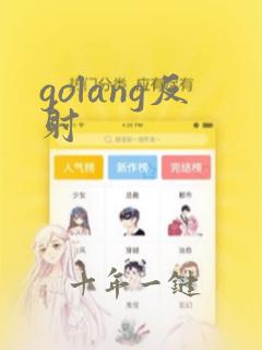 golang反射