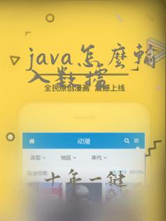 java怎么输入数据