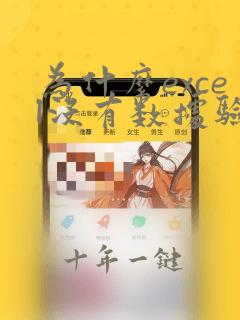 为什么excel没有数据验证功能