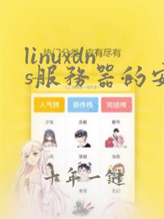 linuxdns服务器的安装与配置