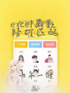 excel函数精确匹配