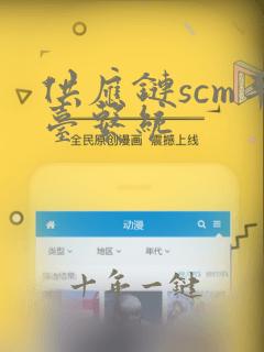 供应链scm平台系统