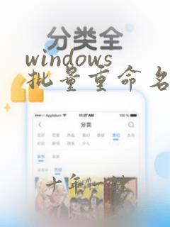 windows批量重命名文件