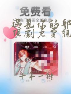 遇见你的那天电视剧免费观看全集下载