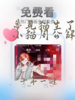 梦见猫生了一窝小猫周公解梦
