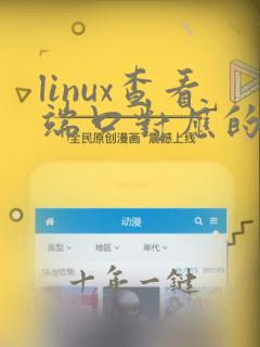 linux查看端口对应的进程