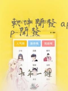 软件开发 app 开发