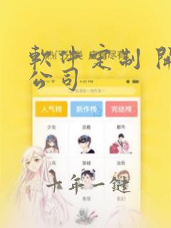 软件定制 开发公司