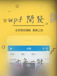 wpf 开发