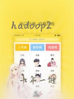 hadoop2