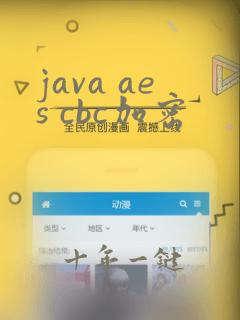java aes cbc加密