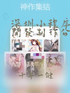 深圳小程序定制开发制作公司