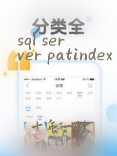sql server patindex