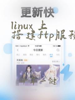 linux 上搭建ftp服务器