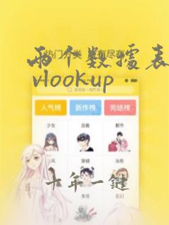 两个数据表匹配 vlookup