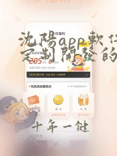 沈阳app软件定制开发的公司