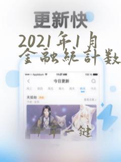 2021年1月金融统计数据报告