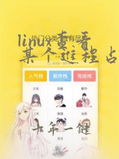 linux查看某个进程占用内存